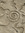 Spiraling Sarah