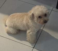 Readbelando Booksiarjo 08