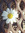 Luna | 3 comments