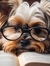 Book Lover