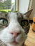 maaike
