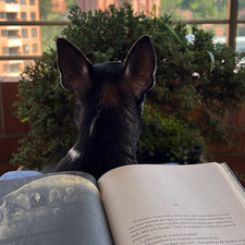 Juan Martín Gonzalez