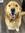 Addie