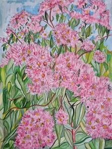 Kate Summers
