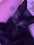 charlotte ⋅˚₊‧ ୨୧ ‧₊˚ ⋅