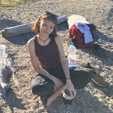 Dani