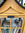 member photo member photo