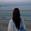 ˗ˏˋ n o v i  ˎˊ˗