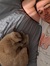 Brody M...