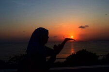 Hanan H