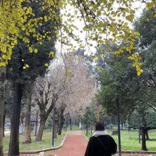 Necva Masri