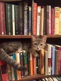 Eleanorrr - The United States (193 books)