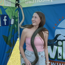 ‧₊˚ grace ୨ৎ