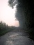 Basma