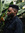 Denis Mwangi