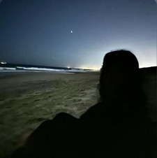 meemo  *ੈ✩‧₊˚