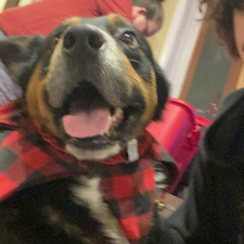 Kristopher Bernfield