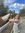 Ellie W...
