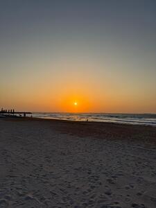 lizzie!⋆ ˚｡⋆୨୧˚