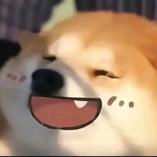 NHG Bá Chủ Thiên Hạ