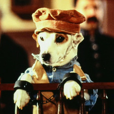 Wishbone