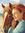 Elle Valor | 1 comments