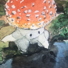 Sam╰(*´︶`*)╯♡