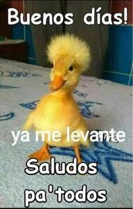 Pablo Yebra