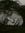 Kiegan Ralls