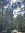 Sariah ...