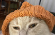 Cherie