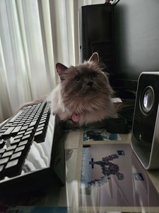 Cherie