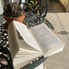 Jaded In Pages