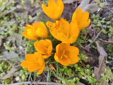 Наталия Колева