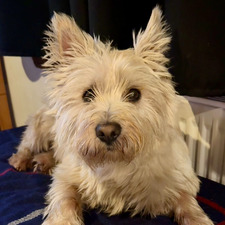 Lainey Grieve Ramsay