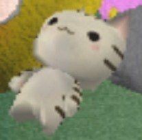 Confused Rat