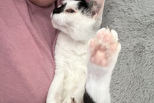 Emma Sallaway-Stringer