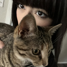 kaii