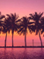 ༄ؘIt’s ...