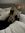 member photo member photo