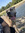 Hellhounds_and_barbells