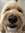 Maggie Laughlin | 1 comments