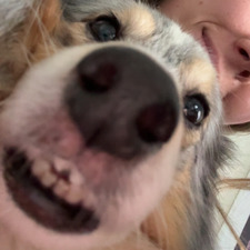 Isabel Kristoffersen