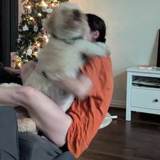 Ryan (semi-active) ˚ʚ♡ɞ˚