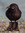 Theo Jack | 1 comments