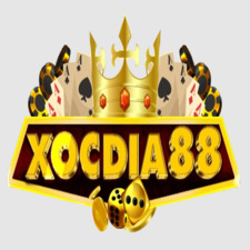 XÓC ĐĨA  ONLINE