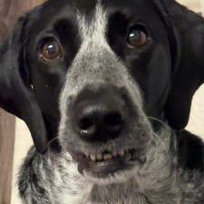 Valentina Grishchenko