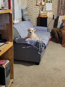 Katreeya ⋆ ˚｡⋆୨୧˚