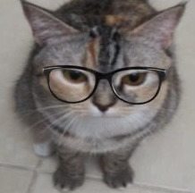 samara :3