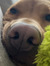 Maddy